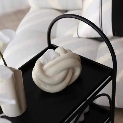 Artistic Knot Napkin Box - Image 9
